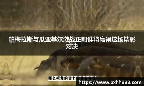 芒果体育直播官网
